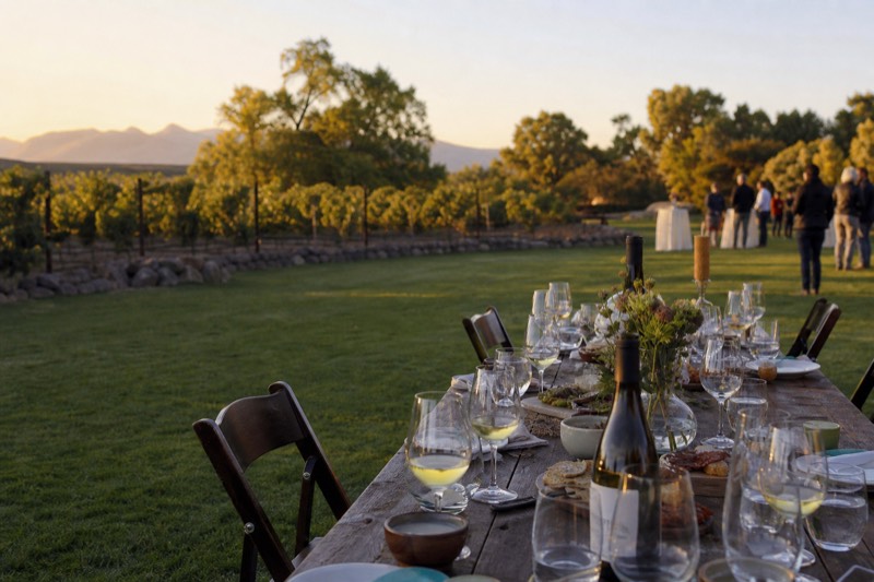 Vines & Views Elite Private Ride