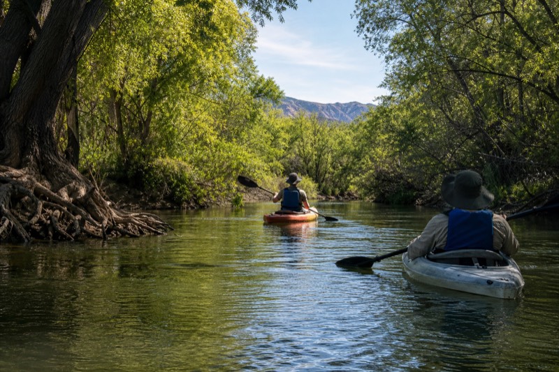 Water to Wine: Verde River Kayak & Tasting