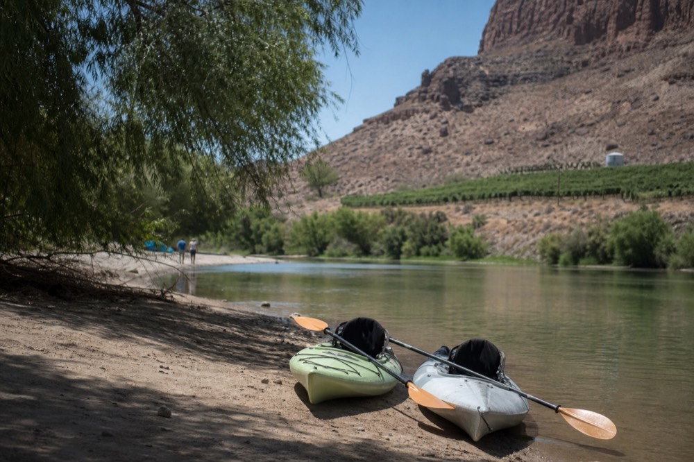 Kayaks pulled up on a Verde River bank near vines, paddles resting across the bows