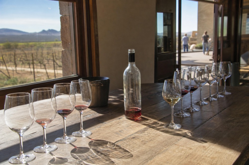 A long wooden tasting bar with rows of glasses and an open bottle, warm light through a window looking onto vines