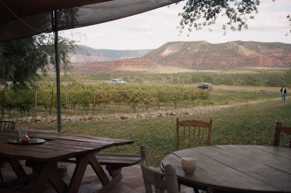 A shaded winery patio with mismatched wooden tables looking out over vine rows toward a low red ridge