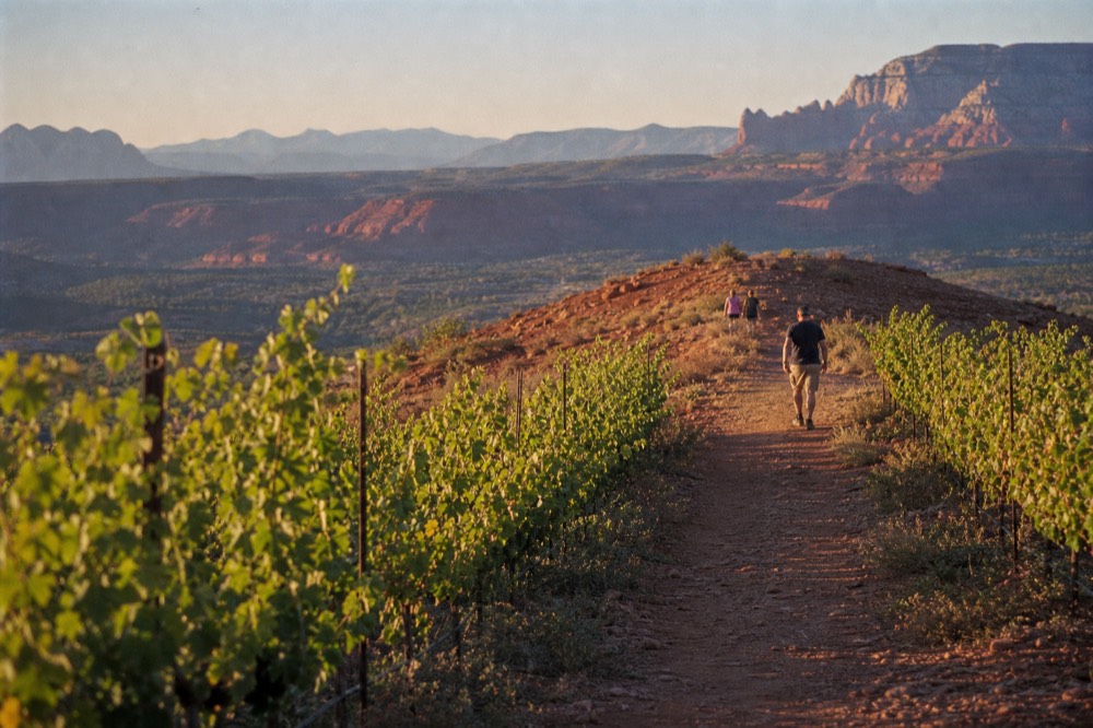 A narrow footpath curving up a red rock saddle with distant buttes stacked in layers behind it