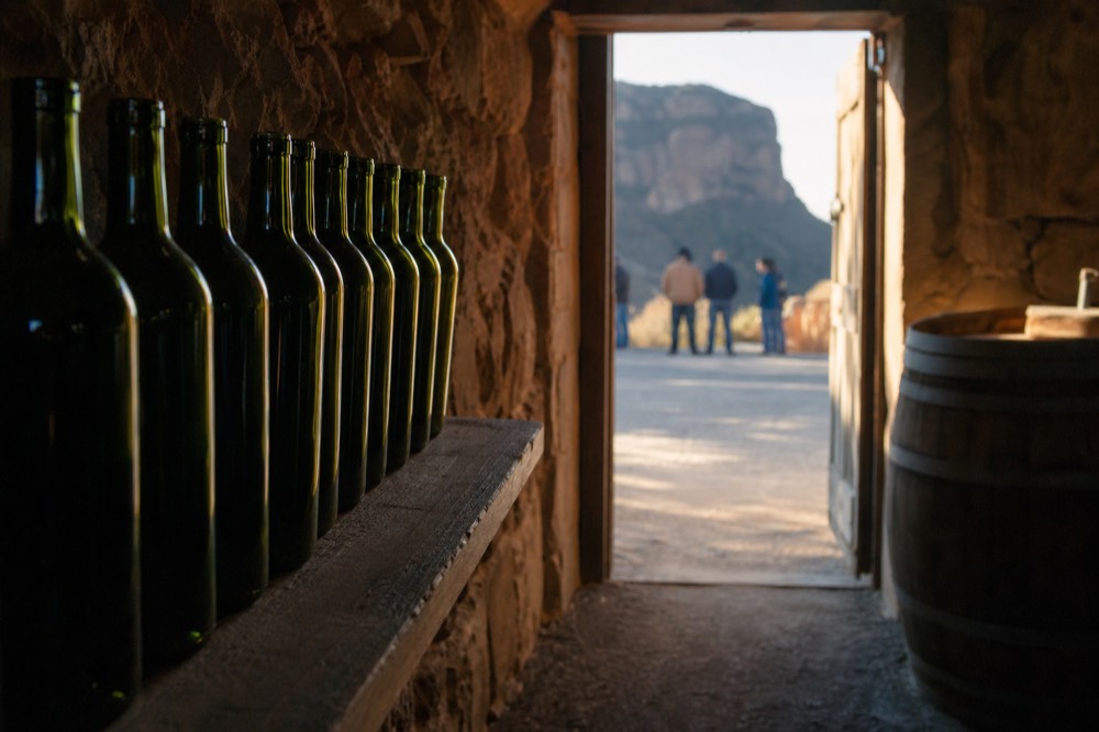 A row of unlabelled dark bottles standing on a rough wooden shelf in a small winery cellar