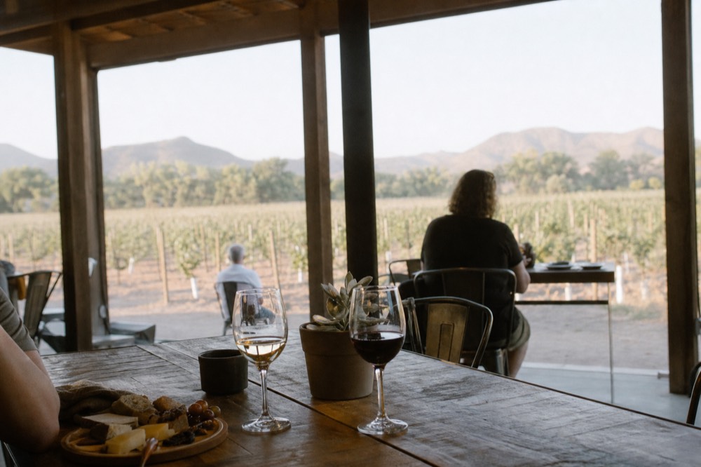Wooden tasting patio at a Verde Valley vineyard with rows of vines and cottonwood trees behind, glasses of red and white wine on the table