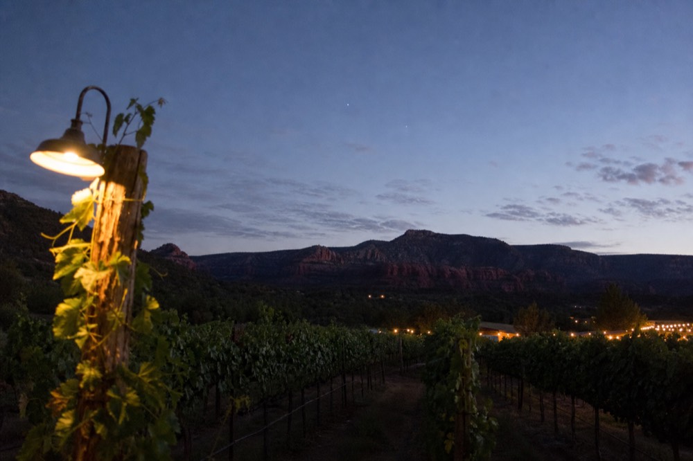 Trellised vine rows running toward a low ridge of red rock under a wide afternoon sky