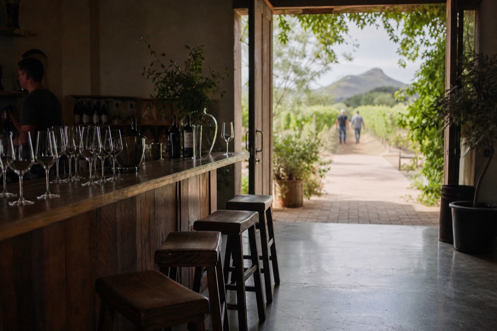 A cool, shaded tasting room interior with a wooden bar, stemware lined up and green vines visible through an open doorway