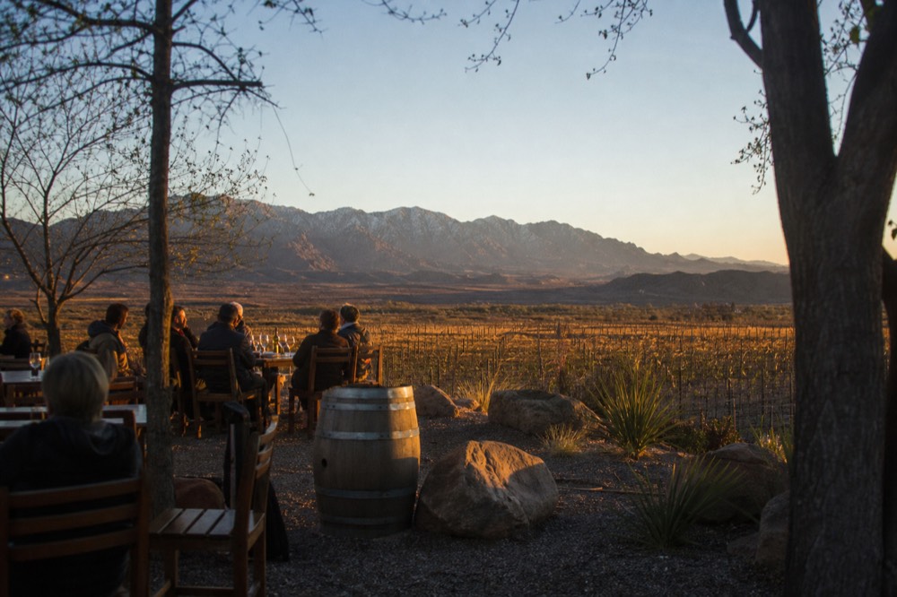 An outdoor winery terrace at golden hour with people seated at long wooden tables and vines sloping away below