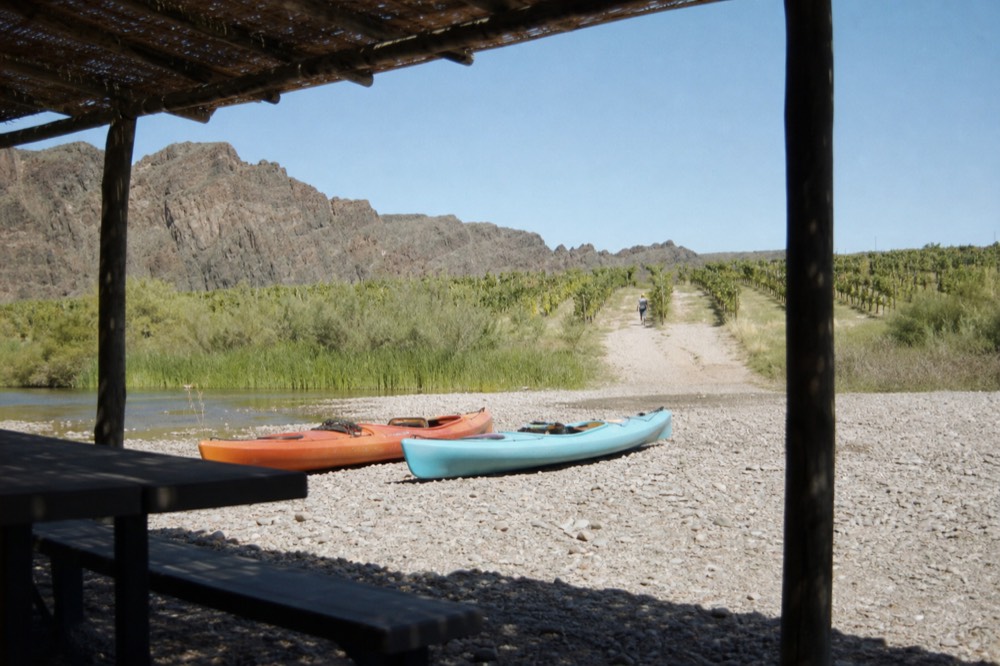 Two brightly coloured kayaks pulled up on a gravel river beach with a footpath leading up between vine rows
