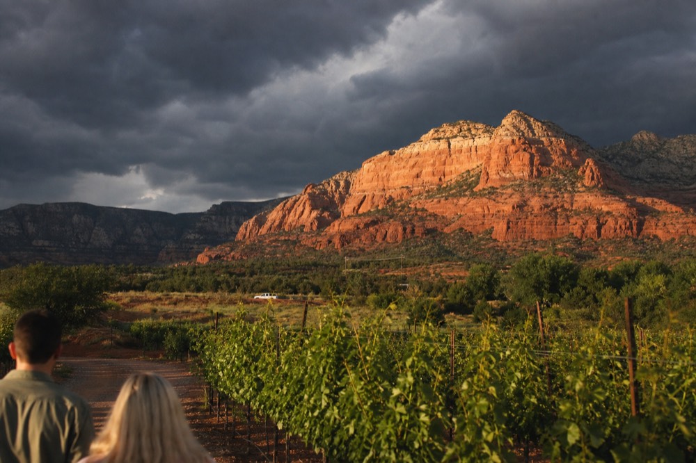 Dark storm clouds building over red rock cliffs with sunlit vineyard rows still bright in the foreground