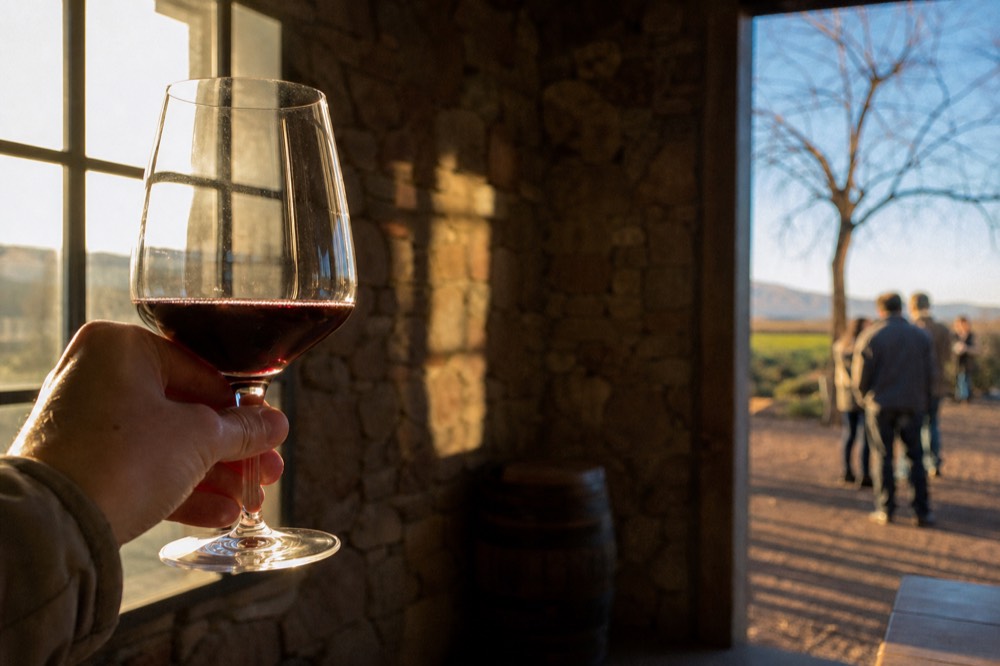 A wine glass of red wine held up against warm window light inside a rustic stone-walled tasting room