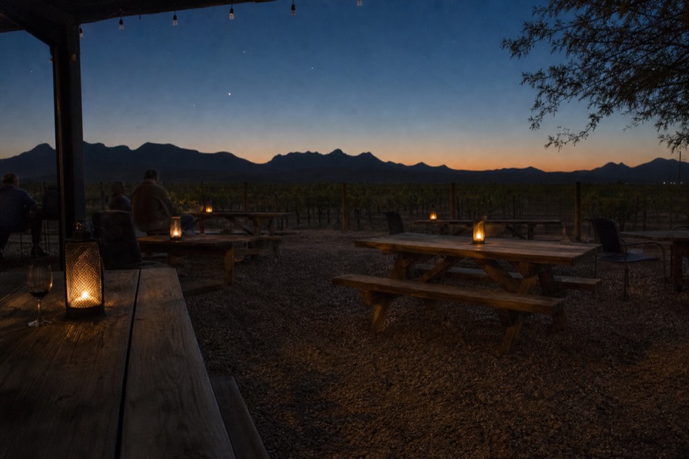 A shaded outdoor tasting patio with picnic tables, gravel underfoot and vine rows starting a few steps beyond the fence