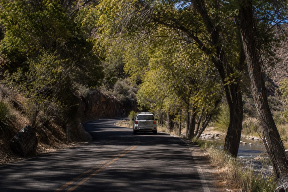 Narrow two-lane road curving between creekside trees with dappled late-afternoon shadows across the asphalt