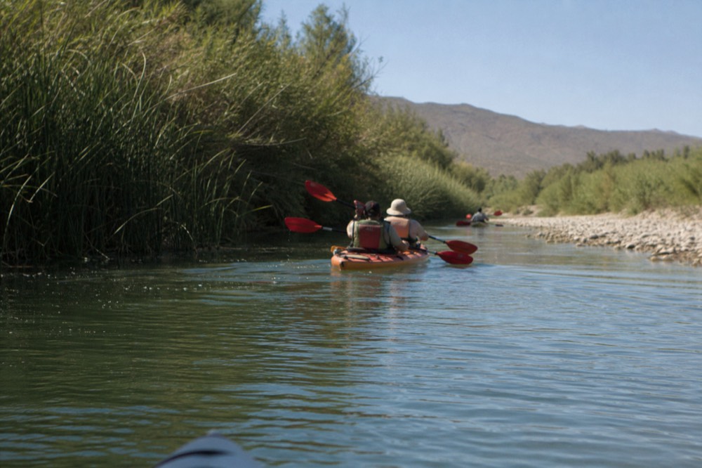 A line of kayaks drifting on a slow green river with tall reeds on one bank and a gravel bar on the other