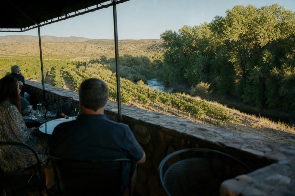 A shaded outdoor tasting terrace with metal chairs and a low stone wall overlooking vine rows dropping toward a creek lined with sycamores