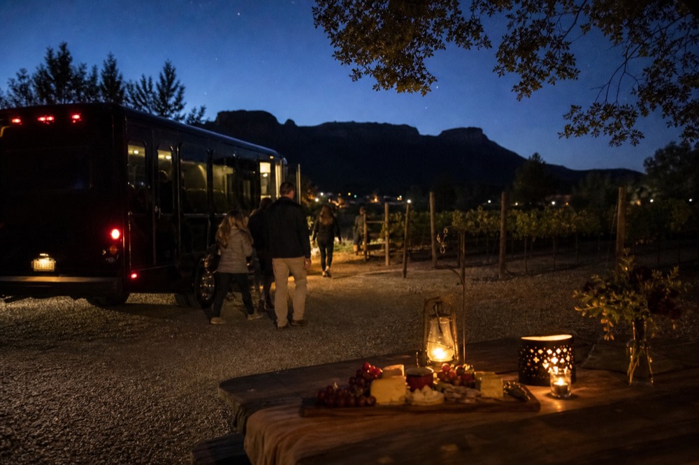 A small dark tour bus parked on gravel beside a vineyard fence, passengers stepping down toward a shaded picnic table set with boards of cheese and fruit